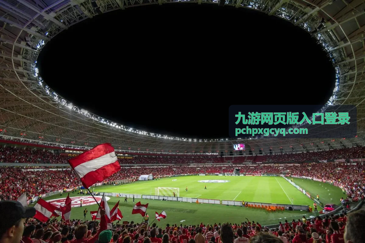 九游网页版入口登录账号安全处理步骤示意